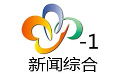 武漢新聞綜合頻道直播