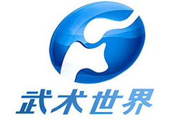 武術(shù)世界直播